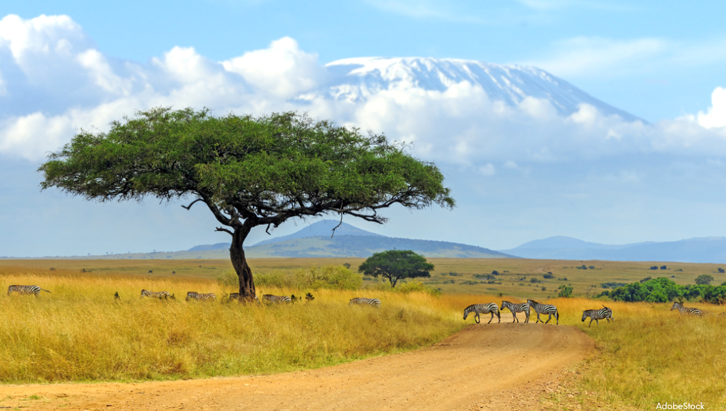 Serengeti Landscape